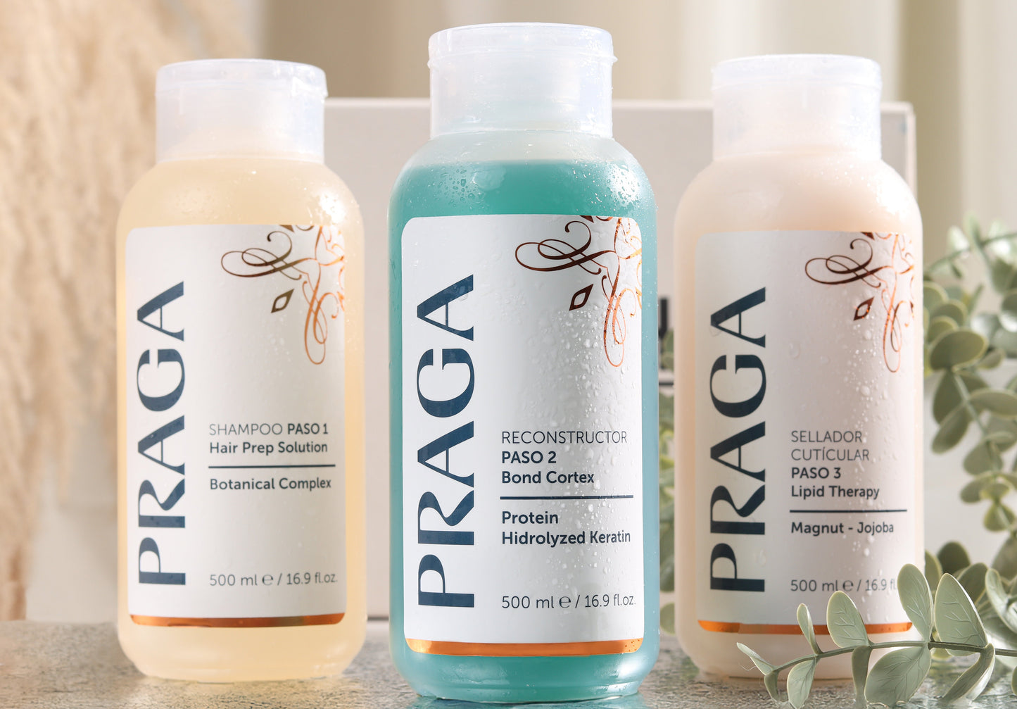 KIT PRAGA THERAPY PLEX PASO 1-2-3 500 ML