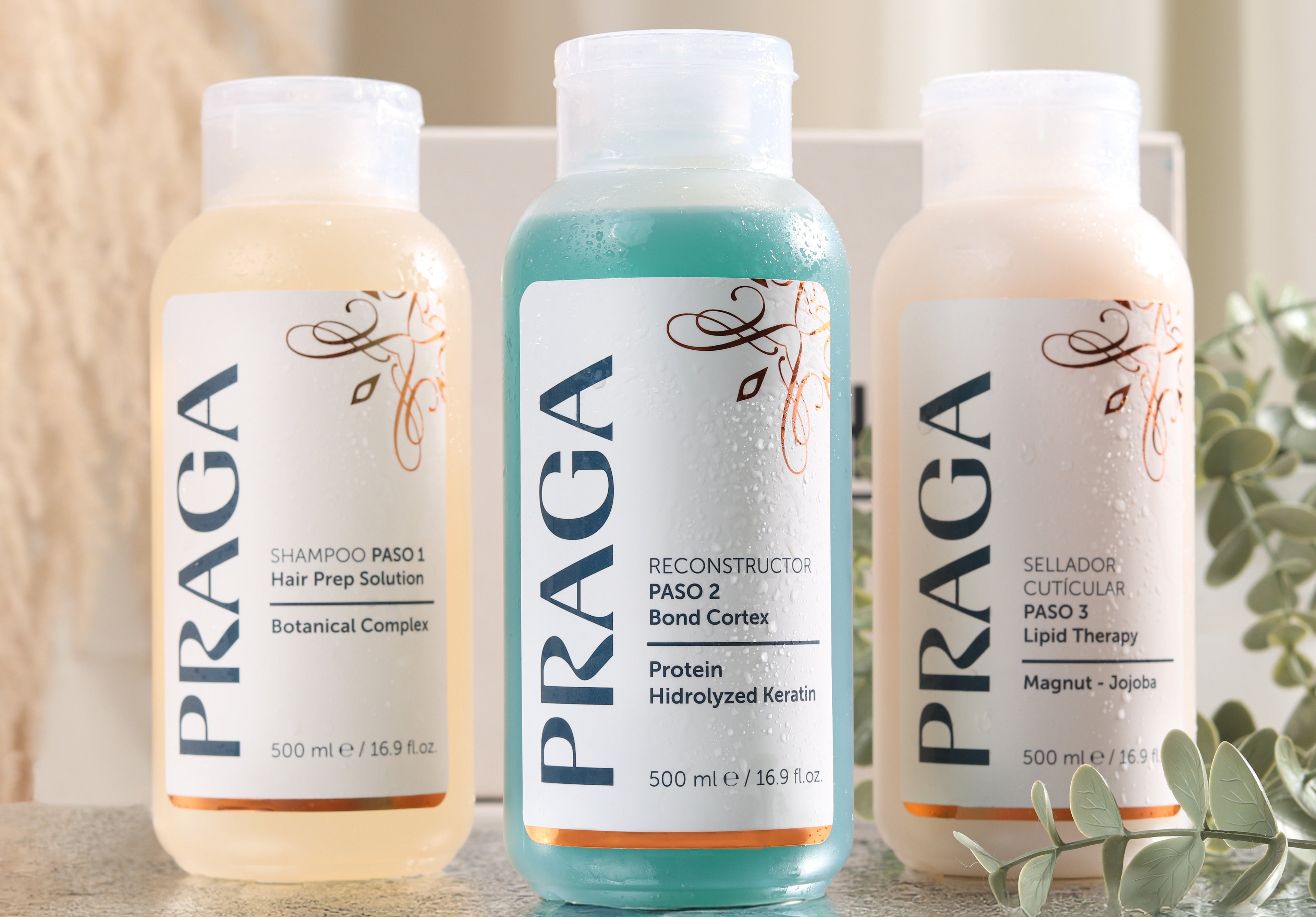 KIT PRAGA THERAPY PLEX PASO 1-2-3  500 ML