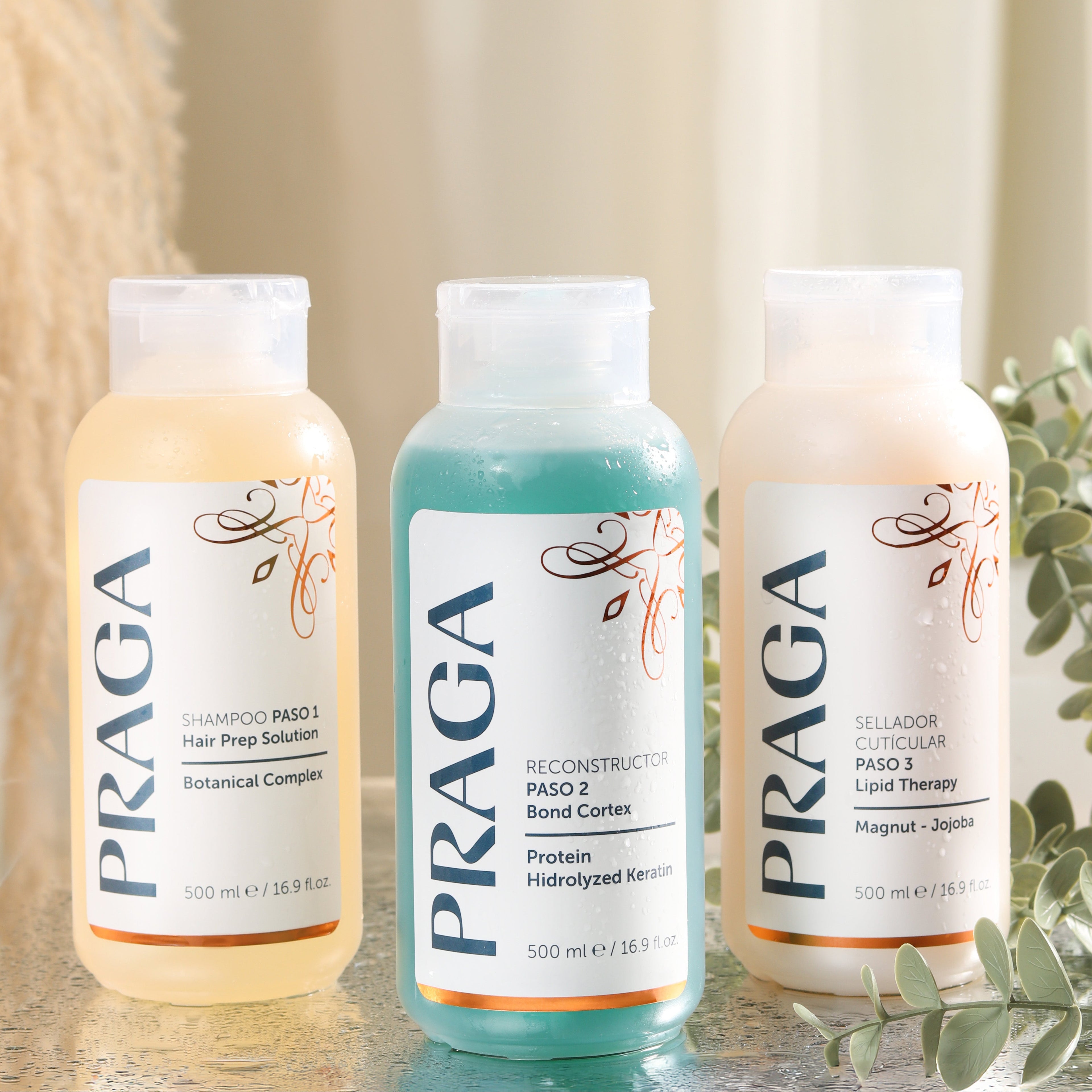 KIT PRAGA THERAPY PLEX PASO 1-2-3  500 ML